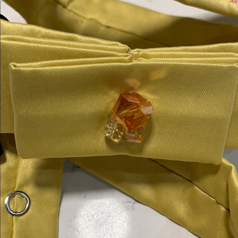 Silk embroidered belt - Picture 6 of 7
